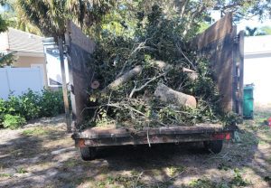 Four Reasons Why You Might Need Yard Debris Dumpsters